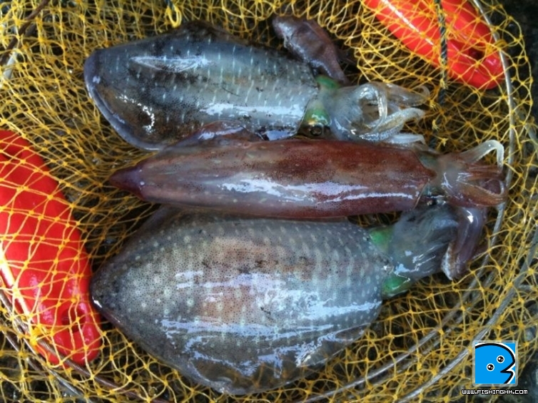照片 132.jpg