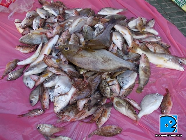 20110802_9956c680bd646e9342f0P64a60EDoQsn.jpg