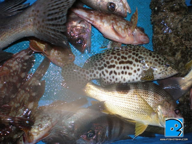P8040007.JPG