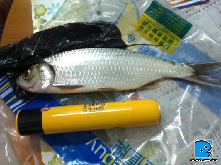 IMAG0083.jpg