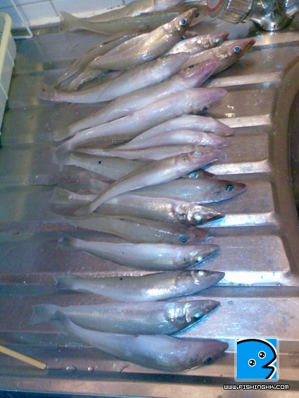 07-08-2011025-1.jpg
