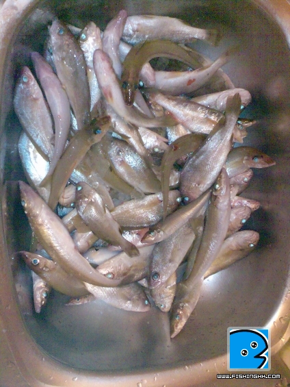 07-08-2011019.jpg