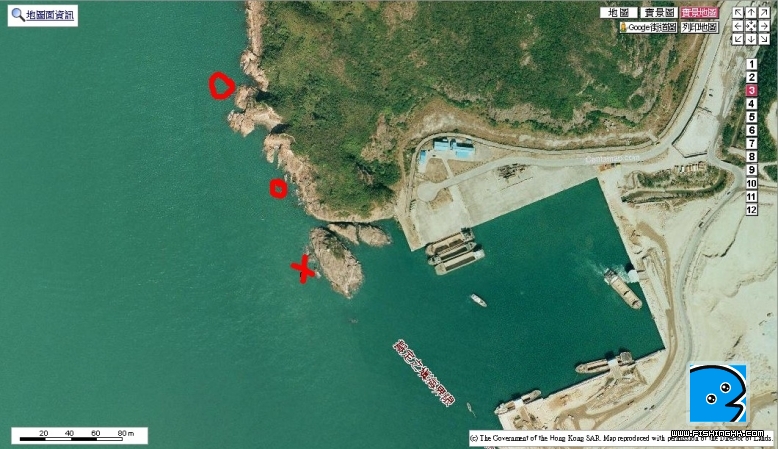 第1個燈塔位   O=紅魚 X=連尖