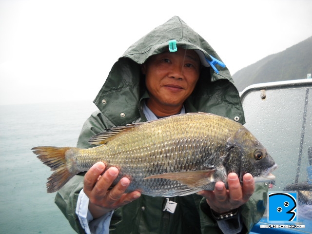 20110517_b529a087f28cf58207c0e8C5bEZnYUAT.jpg