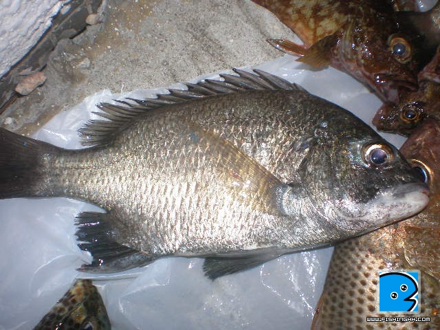 P8110017.JPG