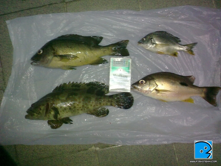 20110812076.jpg
