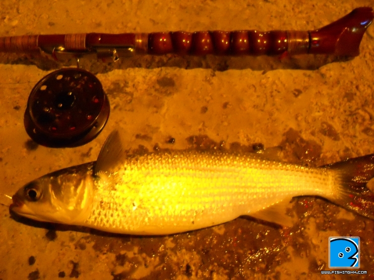 DSCN2445.JPG