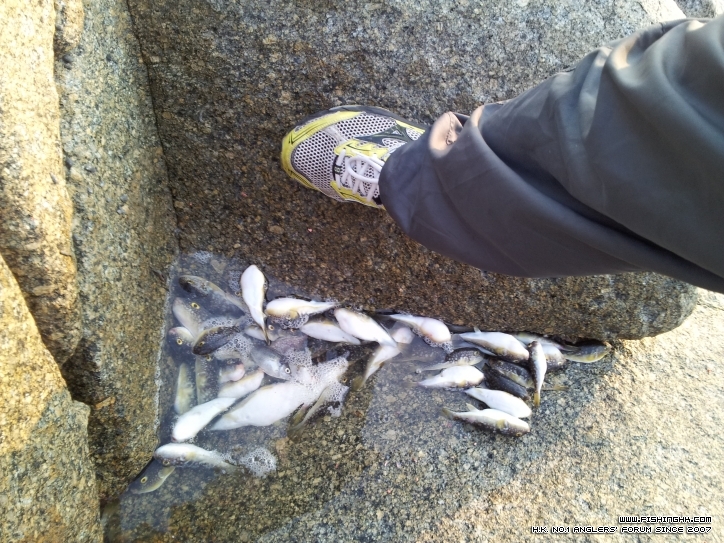 2011-10-20 17.01.54.jpg