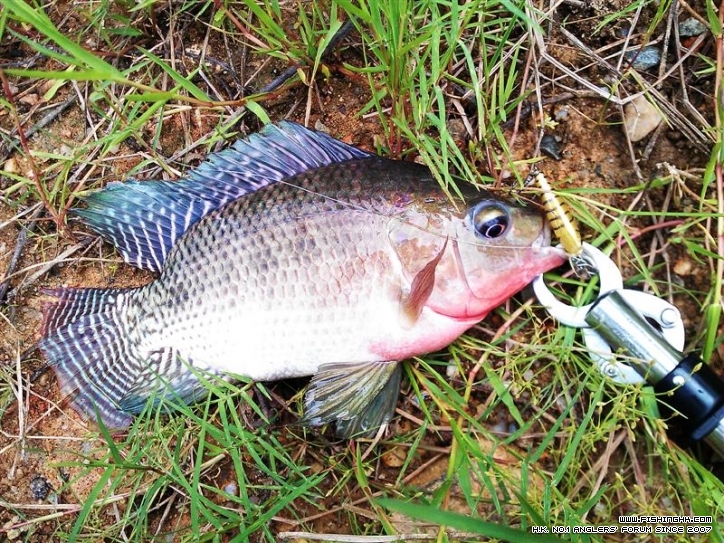 IMAG0709 (Medium).jpg