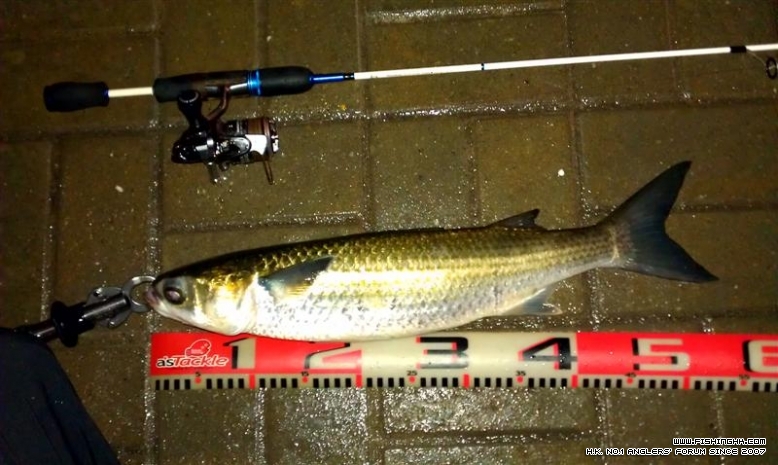 IMAG2498-1 (Medium).jpg