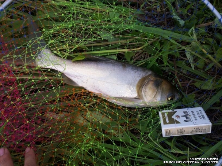 20120910_83ac040befa1a77f10bcSQvRK5VhGYeS.jpg