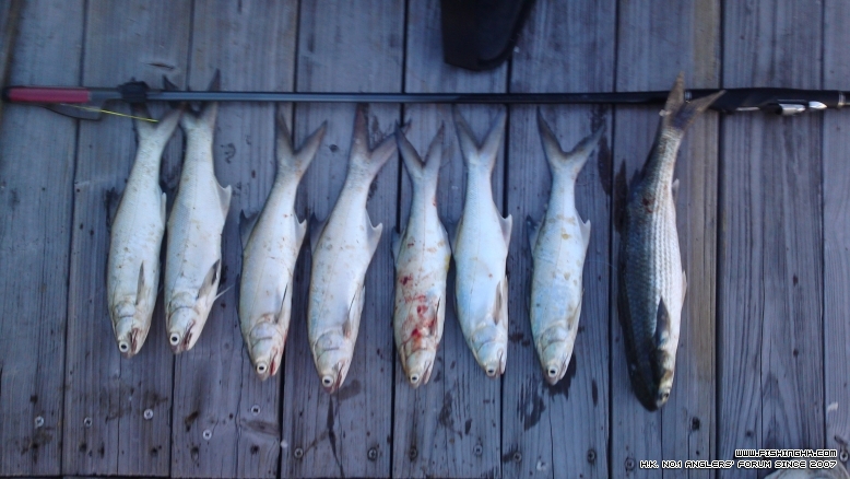 20120909396.JPG