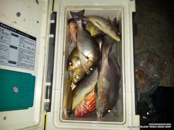 20121004_220433.jpg