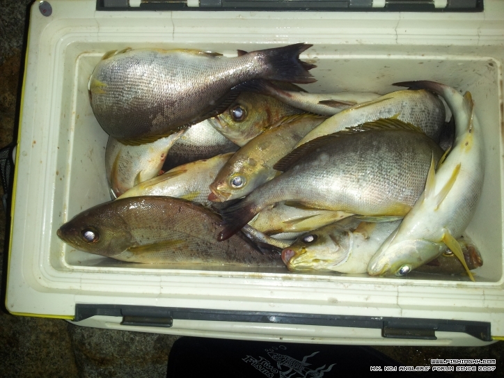 20121005_033839.jpg