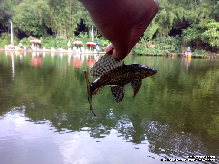 201210281513.jpg