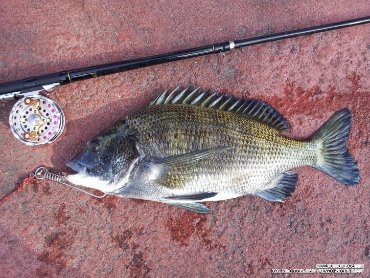 20130108_142314.jpg