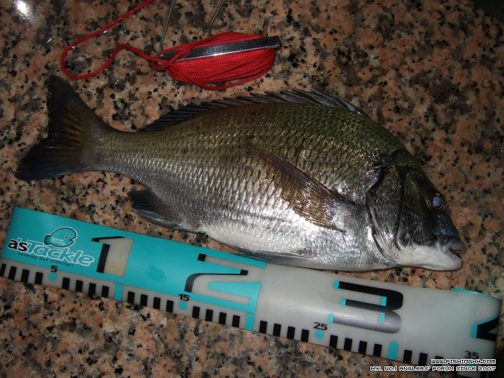 DSCF3701.JPG
