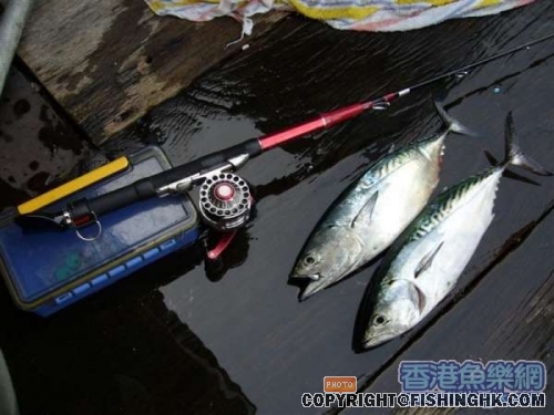 20070827_ef5d28d2fcd62b825a3eZyfZQFAZIMs0.jpg
