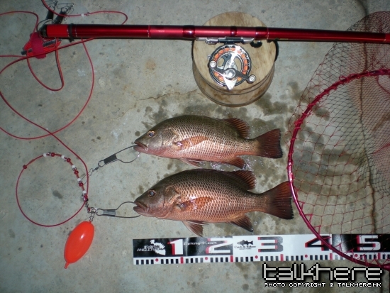 DSCN2653.JPG